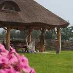 Bodychowka Holiday home *